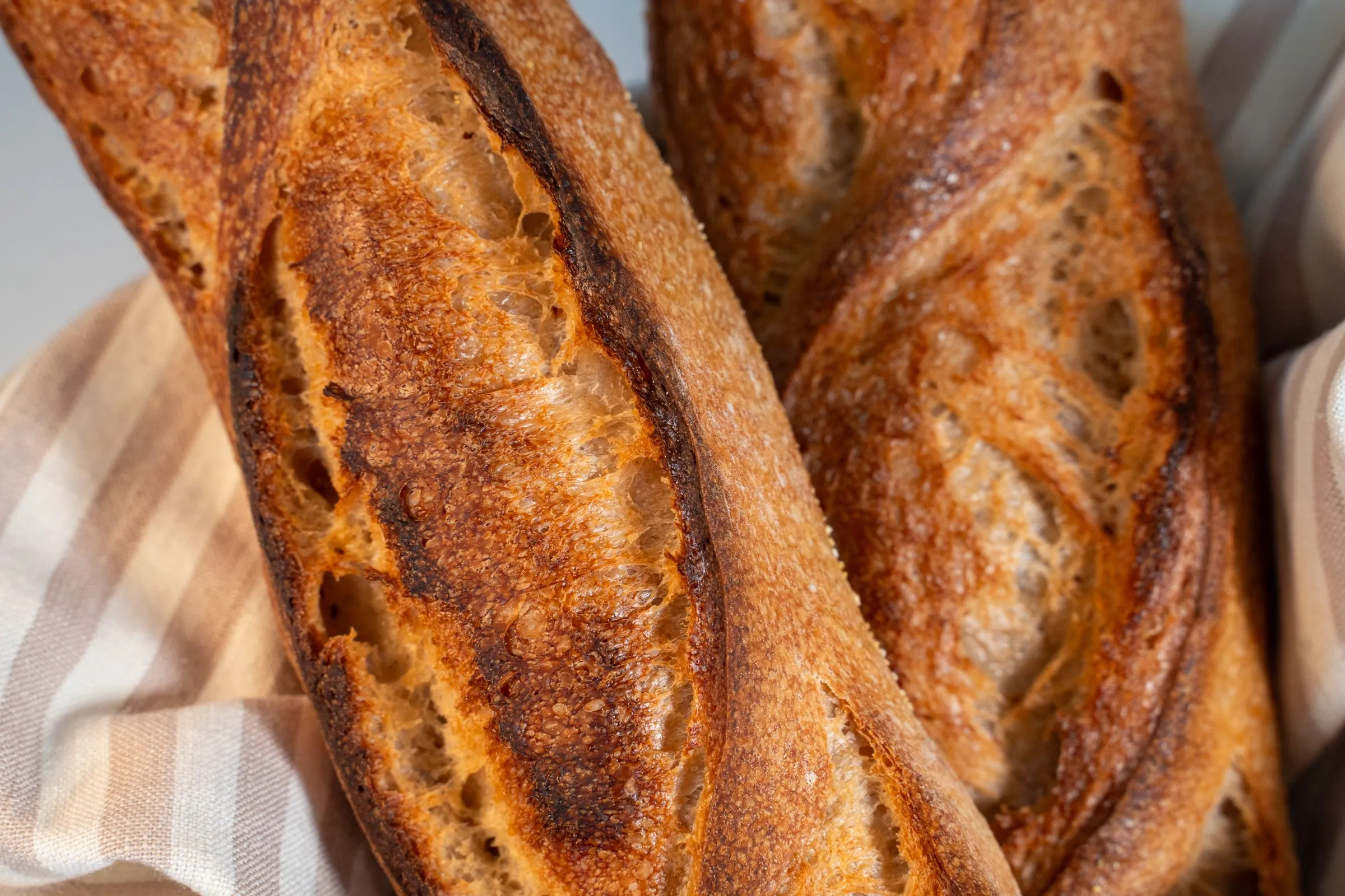 Baguettes et pains artisanaux fraîchement cuits